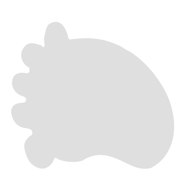 New product view